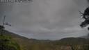 ./images/calvert/fitz-hugh-hecate/20250508/fitz-hugh-hecate20250508_070009M.jpg
