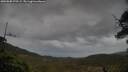 ./images/calvert/fitz-hugh-hecate/20250508/fitz-hugh-hecate20250508_070509M.jpg