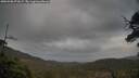 ./images/calvert/fitz-hugh-hecate/20250508/fitz-hugh-hecate20250508_071006M.jpg