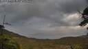 ./images/calvert/fitz-hugh-hecate/20250508/fitz-hugh-hecate20250508_072509M.jpg