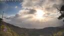 ./images/calvert/fitz-hugh-hecate/20250508/fitz-hugh-hecate20250508_075509M.jpg