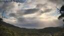 ./images/calvert/fitz-hugh-hecate/20250508/fitz-hugh-hecate20250508_081009M.jpg