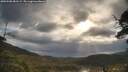 ./images/calvert/fitz-hugh-hecate/20250508/fitz-hugh-hecate20250508_081508M.jpg