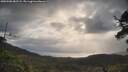 ./images/calvert/fitz-hugh-hecate/20250508/fitz-hugh-hecate20250508_082508M.jpg