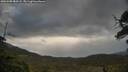 ./images/calvert/fitz-hugh-hecate/20250508/fitz-hugh-hecate20250508_084508M.jpg