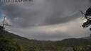 ./images/calvert/fitz-hugh-hecate/20250508/fitz-hugh-hecate20250508_090510M.jpg