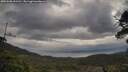 ./images/calvert/fitz-hugh-hecate/20250508/fitz-hugh-hecate20250508_091511M.jpg