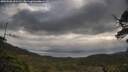 ./images/calvert/fitz-hugh-hecate/20250508/fitz-hugh-hecate20250508_092510M.jpg