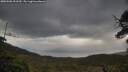 ./images/calvert/fitz-hugh-hecate/20250508/fitz-hugh-hecate20250508_093510M.jpg