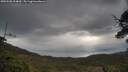 ./images/calvert/fitz-hugh-hecate/20250508/fitz-hugh-hecate20250508_094010M.jpg