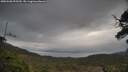 ./images/calvert/fitz-hugh-hecate/20250508/fitz-hugh-hecate20250508_095510M.jpg