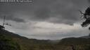 ./images/calvert/fitz-hugh-hecate/20250508/fitz-hugh-hecate20250508_100510M.jpg