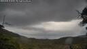 ./images/calvert/fitz-hugh-hecate/20250508/fitz-hugh-hecate20250508_101010M.jpg