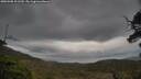 ./images/calvert/fitz-hugh-hecate/20250508/fitz-hugh-hecate20250508_101510M.jpg