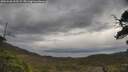 ./images/calvert/fitz-hugh-hecate/20250508/fitz-hugh-hecate20250508_102509M.jpg