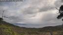 ./images/calvert/fitz-hugh-hecate/20250508/fitz-hugh-hecate20250508_103509M.jpg