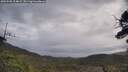 ./images/calvert/fitz-hugh-hecate/20250508/fitz-hugh-hecate20250508_104009M.jpg