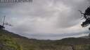 ./images/calvert/fitz-hugh-hecate/20250508/fitz-hugh-hecate20250508_104510M.jpg