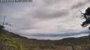 ./images/calvert/fitz-hugh-hecate/20250508/fitz-hugh-hecate20250508_105010M.jpg