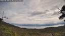 ./images/calvert/fitz-hugh-hecate/20250508/fitz-hugh-hecate20250508_105507M.jpg