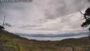 ./images/calvert/fitz-hugh-hecate/20250508/fitz-hugh-hecate20250508_110010M.jpg