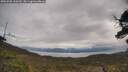 ./images/calvert/fitz-hugh-hecate/20250508/fitz-hugh-hecate20250508_110510M.jpg