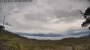 ./images/calvert/fitz-hugh-hecate/20250508/fitz-hugh-hecate20250508_111010M.jpg