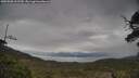 ./images/calvert/fitz-hugh-hecate/20250508/fitz-hugh-hecate20250508_112510M.jpg