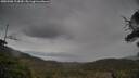 ./images/calvert/fitz-hugh-hecate/20250508/fitz-hugh-hecate20250508_113010M.jpg