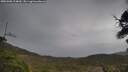 ./images/calvert/fitz-hugh-hecate/20250508/fitz-hugh-hecate20250508_114010M.jpg