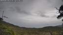 ./images/calvert/fitz-hugh-hecate/20250508/fitz-hugh-hecate20250508_114508M.jpg