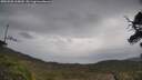 ./images/calvert/fitz-hugh-hecate/20250508/fitz-hugh-hecate20250508_115010M.jpg