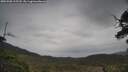 ./images/calvert/fitz-hugh-hecate/20250508/fitz-hugh-hecate20250508_115510M.jpg