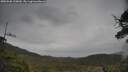 ./images/calvert/fitz-hugh-hecate/20250508/fitz-hugh-hecate20250508_120010M.jpg