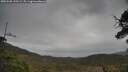 ./images/calvert/fitz-hugh-hecate/20250508/fitz-hugh-hecate20250508_120509M.jpg