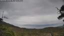 ./images/calvert/fitz-hugh-hecate/20250508/fitz-hugh-hecate20250508_122509M.jpg