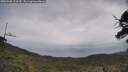 ./images/calvert/fitz-hugh-hecate/20250508/fitz-hugh-hecate20250508_124510M.jpg