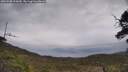 ./images/calvert/fitz-hugh-hecate/20250508/fitz-hugh-hecate20250508_125010M.jpg