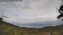 ./images/calvert/fitz-hugh-hecate/20250508/fitz-hugh-hecate20250508_125508M.jpg