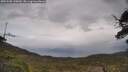 ./images/calvert/fitz-hugh-hecate/20250508/fitz-hugh-hecate20250508_130010M.jpg
