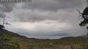 ./images/calvert/fitz-hugh-hecate/20250508/fitz-hugh-hecate20250508_130510M.jpg