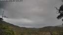 ./images/calvert/fitz-hugh-hecate/20250508/fitz-hugh-hecate20250508_131009M.jpg