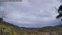 ./images/calvert/fitz-hugh-hecate/20250508/fitz-hugh-hecate20250508_132508M.jpg