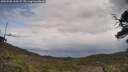 ./images/calvert/fitz-hugh-hecate/20250508/fitz-hugh-hecate20250508_133509M.jpg