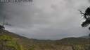 ./images/calvert/fitz-hugh-hecate/20250508/fitz-hugh-hecate20250508_135010M.jpg