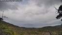 ./images/calvert/fitz-hugh-hecate/20250508/fitz-hugh-hecate20250508_135508M.jpg