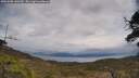 ./images/calvert/fitz-hugh-hecate/20250508/fitz-hugh-hecate20250508_140510M.jpg
