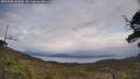 ./images/calvert/fitz-hugh-hecate/20250508/fitz-hugh-hecate20250508_141010M.jpg