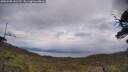./images/calvert/fitz-hugh-hecate/20250508/fitz-hugh-hecate20250508_141510M.jpg