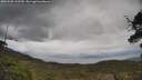 ./images/calvert/fitz-hugh-hecate/20250508/fitz-hugh-hecate20250508_142510M.jpg